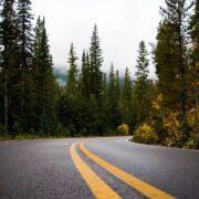 gray and yellow road between forest