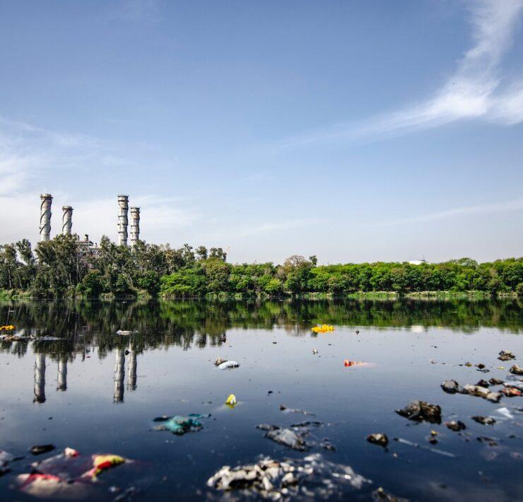garbage on body of water