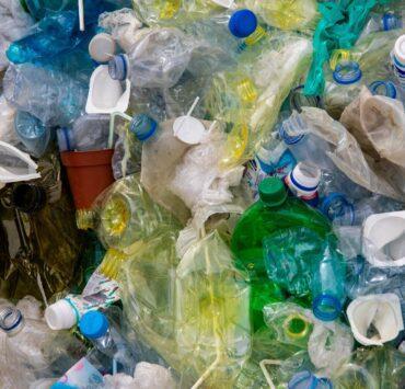 close up photo of plastic bottles