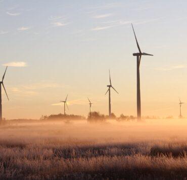 photo of windmills during dawn