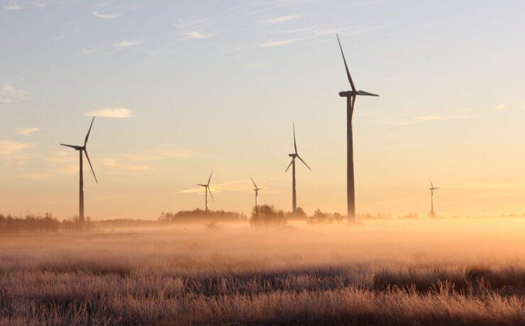 photo of windmills during dawn