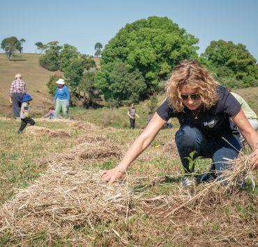 volunteers planting trees