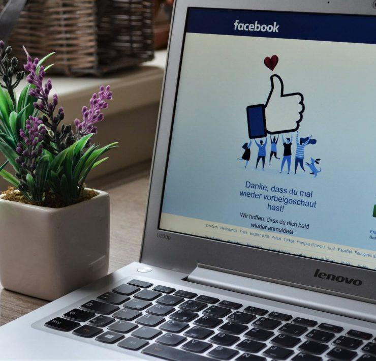 photo of laptop near plant