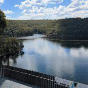 green trees beside river under blue sky during daytime