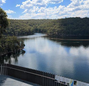 green trees beside river under blue sky during daytime