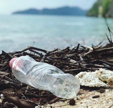 close up photo of plastic bottle