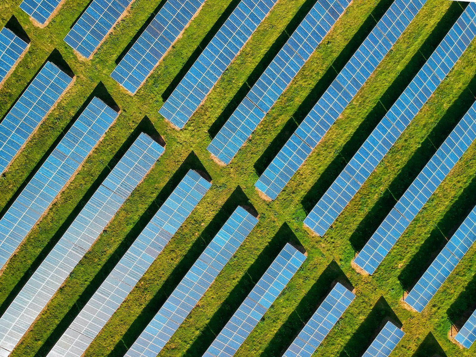solar panels on a green field