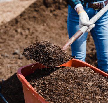 brown soil in orange plastic bucket