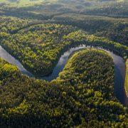 aerial view of green trees and river during daytime