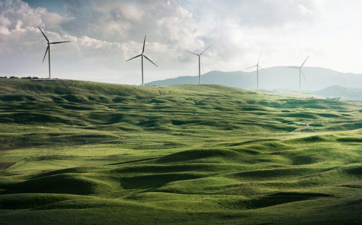 wind turbine surrounded by grass