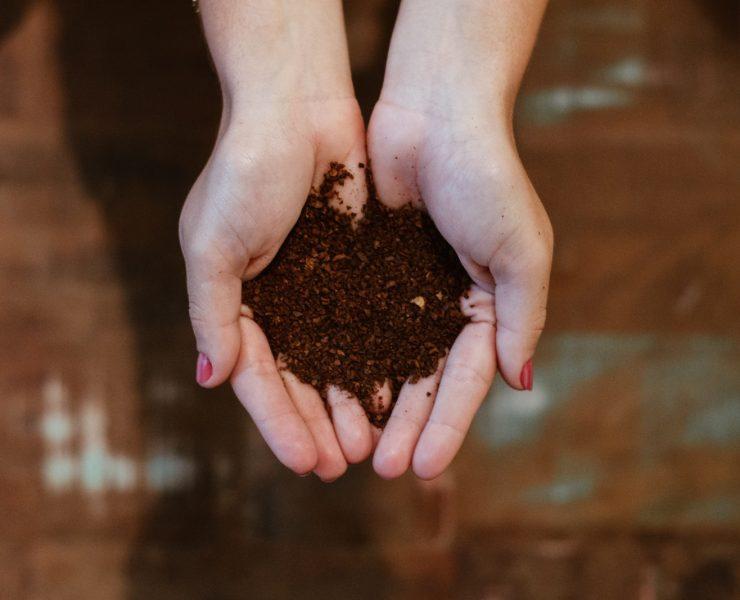 top view of woman's hands with soil