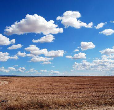 brown field and blue sky
