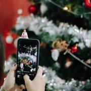 person holding black iphone 5 taking photo of red and white flowers