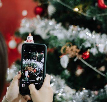 person holding black iphone 5 taking photo of red and white flowers