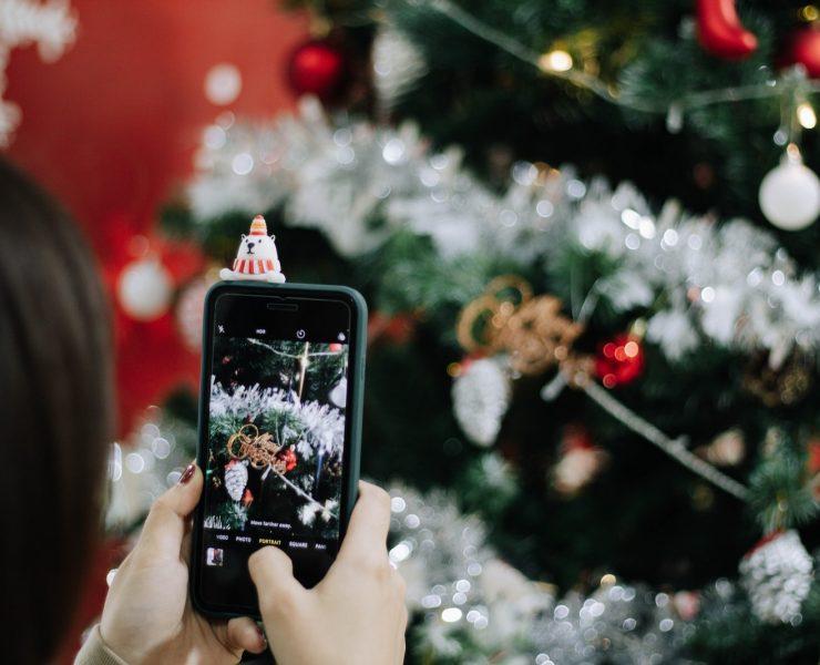 person holding black iphone 5 taking photo of red and white flowers