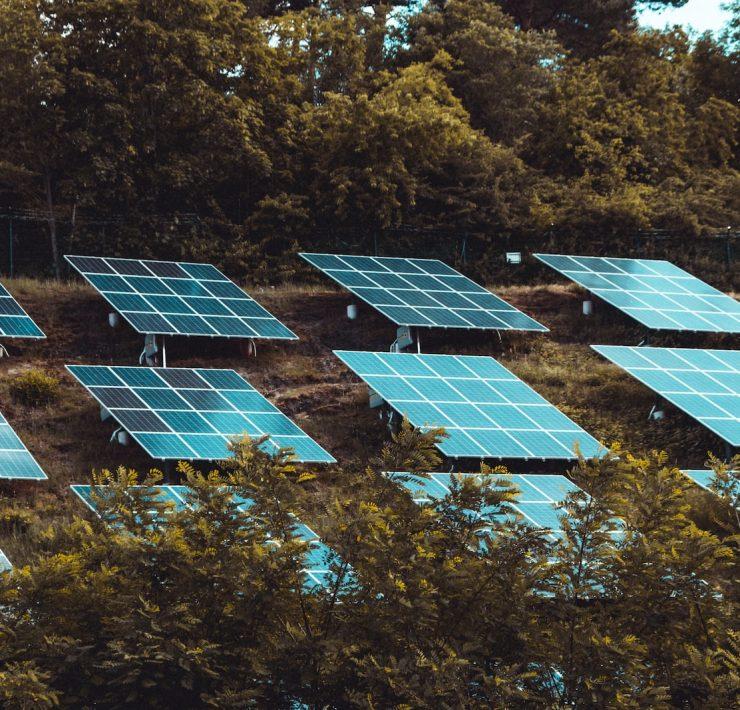 blue solar panels on green trees during daytime