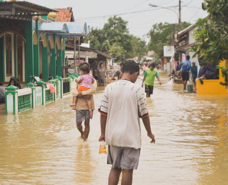 people walking on street during daytime