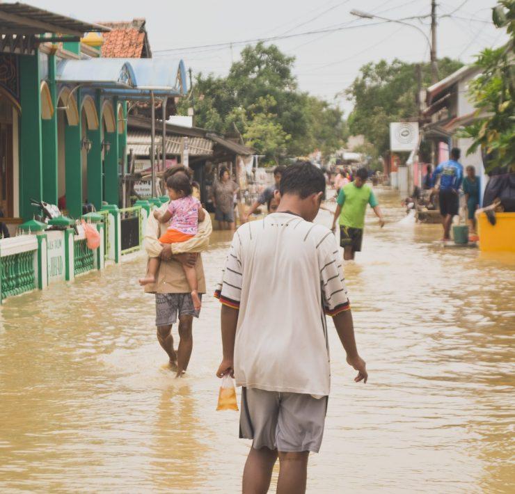 people walking on street during daytime