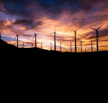 silhouette of windmills during golden hour