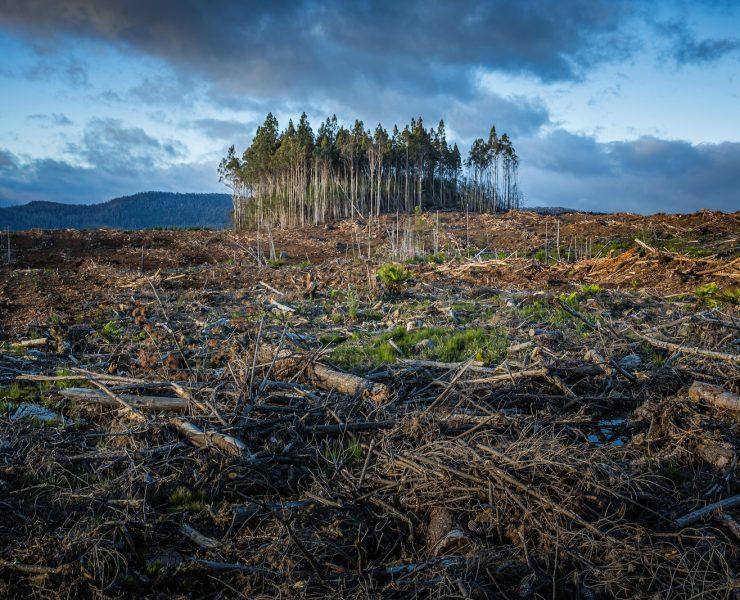 brown and green grass field near body of water under cloudy sky during daytime