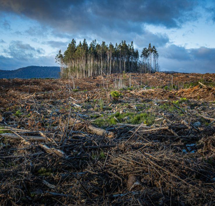 brown and green grass field near body of water under cloudy sky during daytime