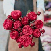 person holding red petaled flower bouquet