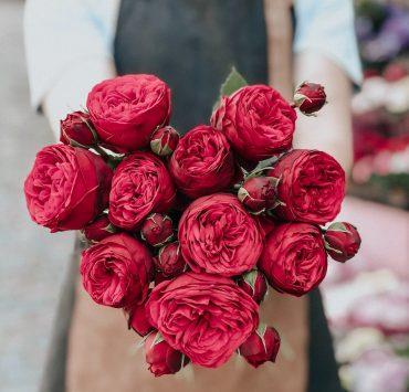 person holding red petaled flower bouquet