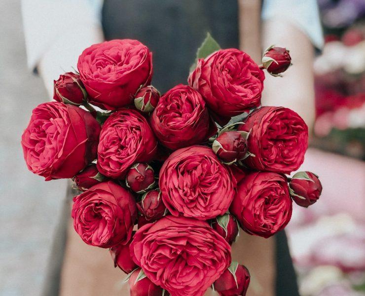 person holding red petaled flower bouquet