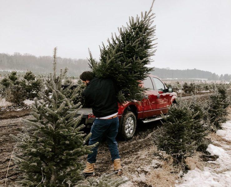man carrying christmas tree