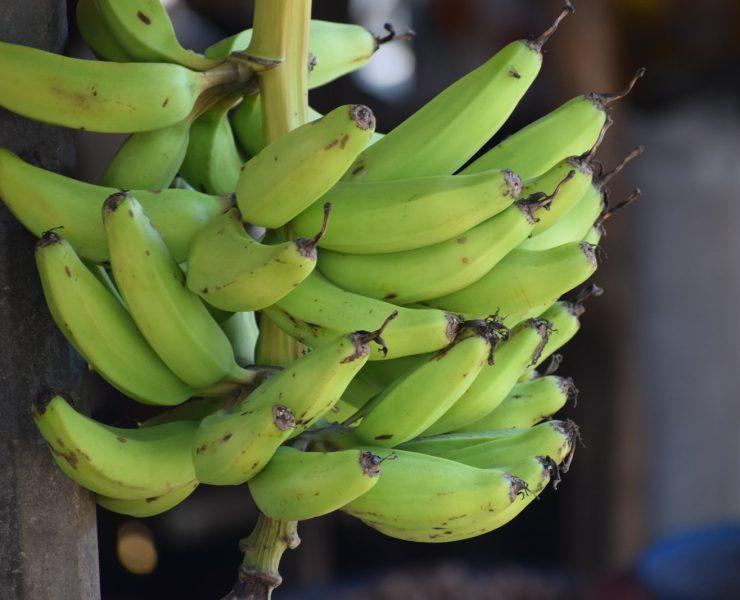 green banana fruit