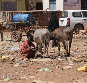 white van beside brown horse during daytime