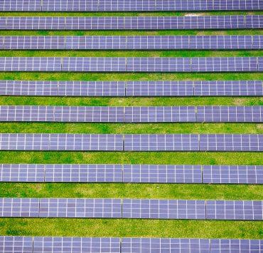 green and white striped textile