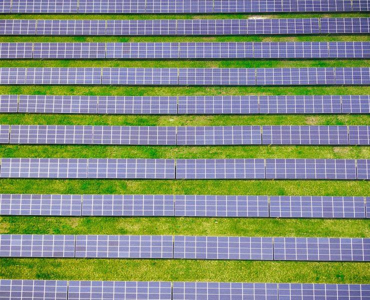 green and white striped textile
