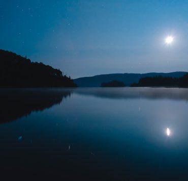 body of water near trees