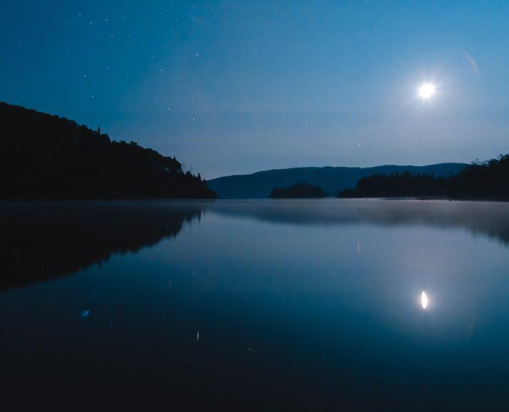 body of water near trees