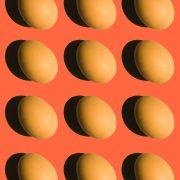brown egg on orange background