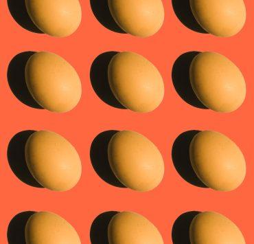 brown egg on orange background