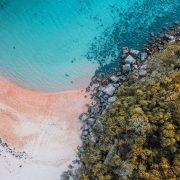 aerial photo of white sandy beach and green trees