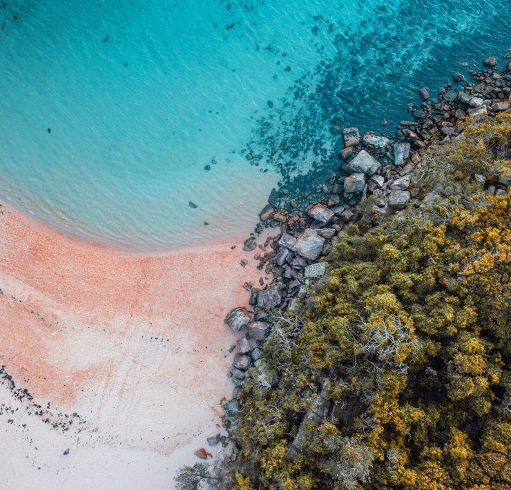 aerial photo of white sandy beach and green trees