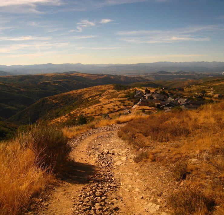 brown and green grass field under blue sky during daytime