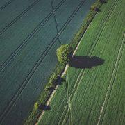 green grass field during daytime