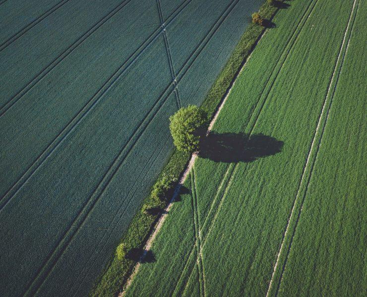 green grass field during daytime