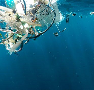 white and brown boats on blue sea water during daytime