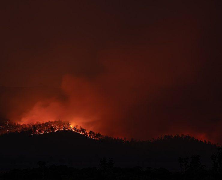 silhouette of trees during sunset