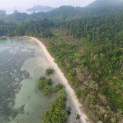 green trees beside body of water during daytime