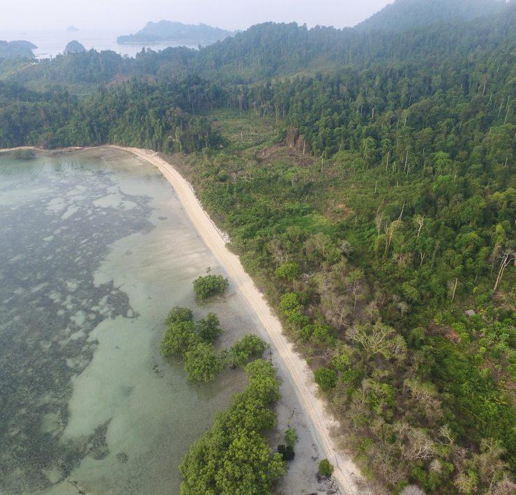 green trees beside body of water during daytime
