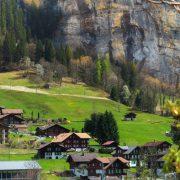 brown houses on green field
