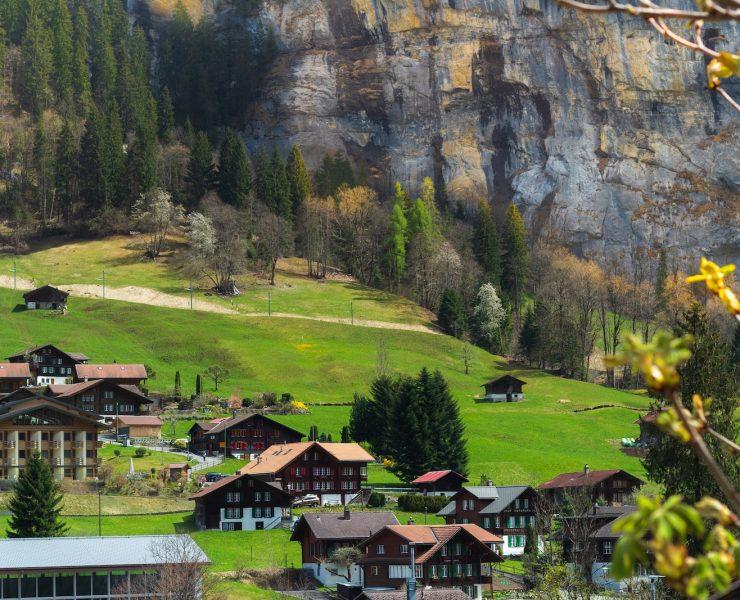 brown houses on green field