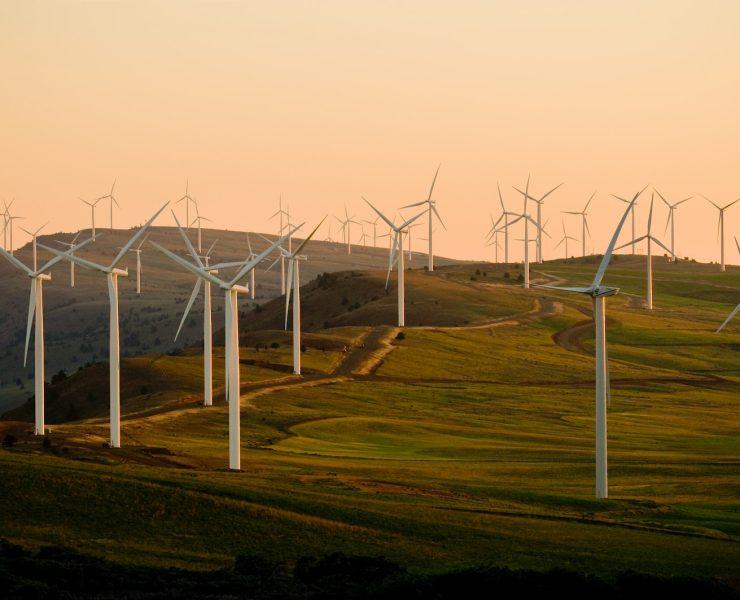 windmills on green field under white sky during daytime