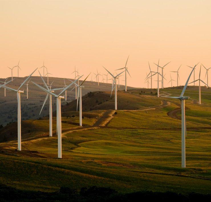 windmills on green field under white sky during daytime